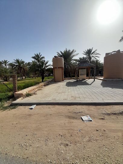 دجاج و طيور بلدي